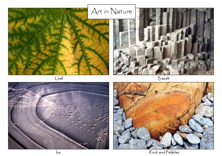 Art in Nature: 4-view card 