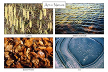 Art in Nature: 4-view card