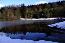 Mallard's Pike Lake, Forest of Dean