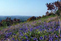 Coppet Hill near Goodrich