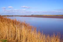 The Severn at Newnham