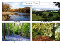 Forest of Dean: 4-view card