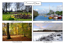 Forest of Dean: 4-view card