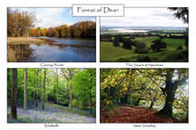 Forest of Dean: 4-view A5 card
