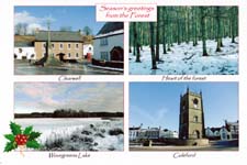 Forest of Dean: 4-view Christmas card