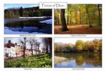 Forest of Dean: 4-view A5 card
