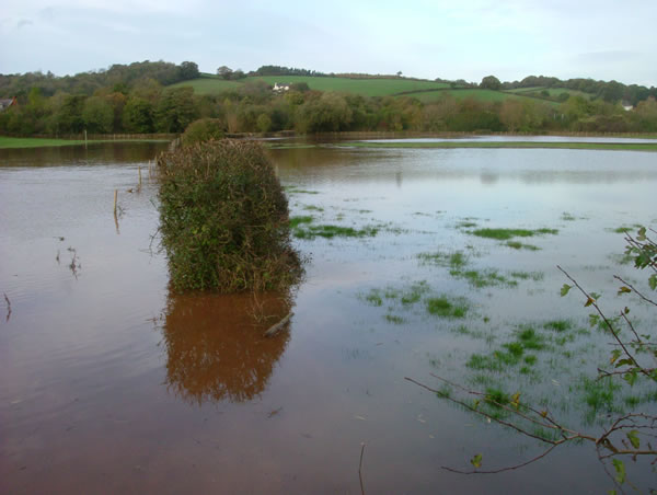 Flooding to the east of Usk, 06.11.05