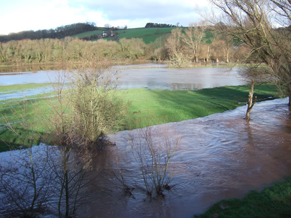 The swollen Olway Brook, to the east of Usk, 10.01.07