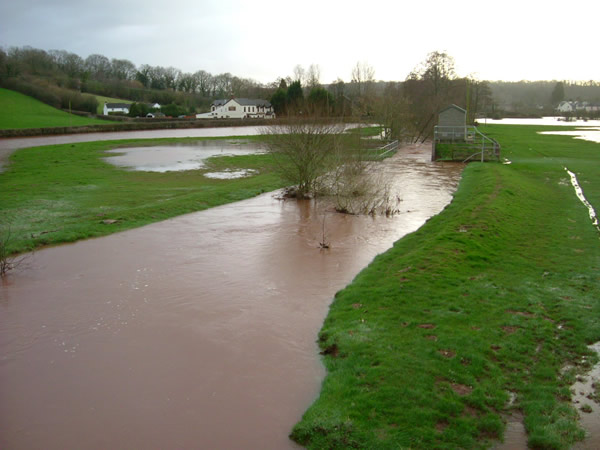 The swollen Olway Brook to the east of Usk, 06.03.07