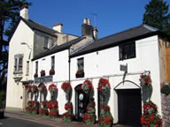 Usk Traditional Fish & Chips