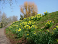 U09: Conigar Walk, Usk