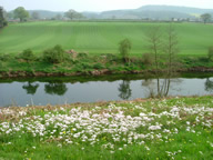 U18: The Usk south of Chain Bridge