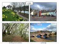 U40: 4-view card
