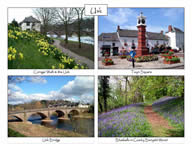 U43: 4-view card