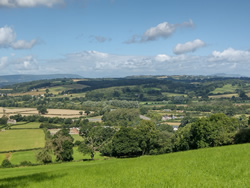 Looking west to Usk from Newhouse Wood