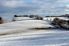 Lay Hill Wood, north of Usk