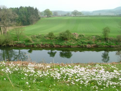 The Usk south of Chain Bridge