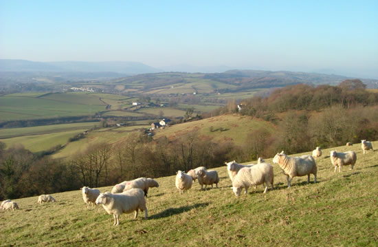 The Usk Valley (from the hill above Gwehelog)