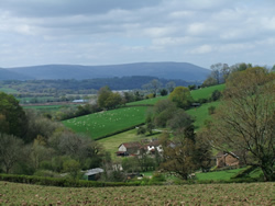 Usk Valley (view from the gate mentioned opposite)