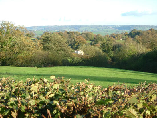 Near Trostrey Common